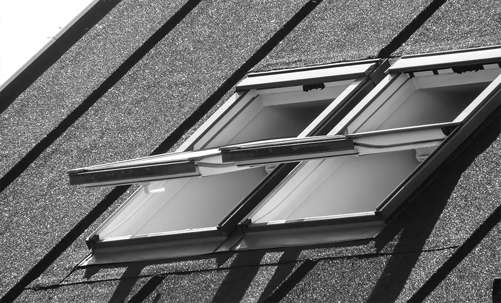 Skylight Windows